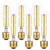 LiteHistory Dimmable E26 Edison Bulb 6W Equal 60 watt Light
