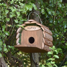 CKB LTD 2 in 1 Wooden Squirrel Feeder/Nesting Bird House Hanging Feeding Station or Nest Box Rustic Natural Weatherproof Ideal For Any Size Garden Outdoors Tree Or Balcony