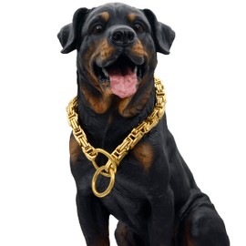 12MM Dog Collar Byzantine Chain Metal Stainless Steel Heavy Duty Slip Dog Collars for Dogs. (14"-30") (22, Gold)