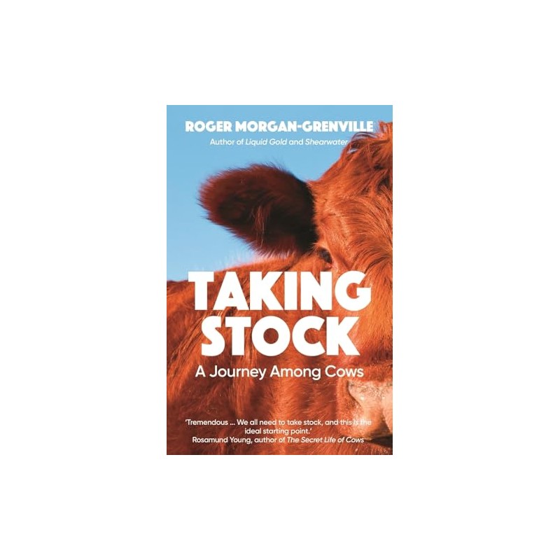 Taking Stock: A Journey Among Cows