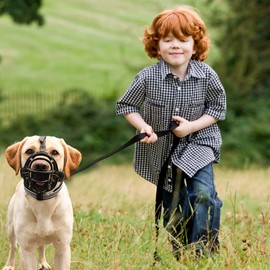 PETCUTE Dog Muzzles Dog Muzzle Biting Basket for Small Large Dogs Anti Eating Prevents Barking Biting and Chewing with Reflective Strip Adjustable Straps
