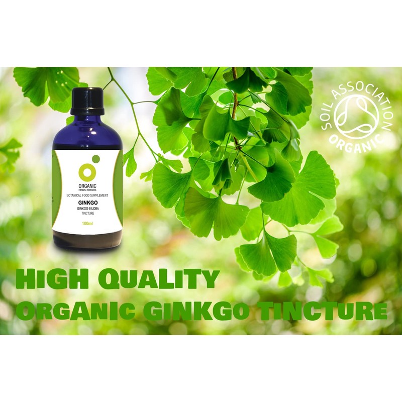 Organic Herbal Remedies 100ml Ginkgo Biloba Tincture