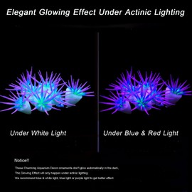 ZtohPyo Glowing Effect Soft Anemone Aquarium Fish Tank Decorations, Silicone Glow in The Dark Ornament Plants for Aquarium Decor,Small Fish Bowl Decor Accessories