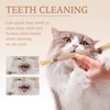 Cats Teething Chew Toys Edible Chew Toys for Cats to