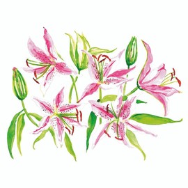 Set of 20 Individual Decoupage Paper Party Napkins Stargazer Lillies Watercolor Decor Luncheon Beverage Napkin for Birthday, Holiday, Wedding, Cocktail Party