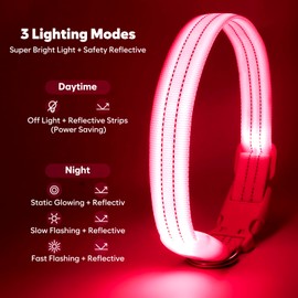 Light Up Dog Collar, LED Lighted Reflective Dog Collars for Night USB Rechargeable, Glow Collar for Dogs, Waterproof Adjustable Flashing Dog Collar for Night Safety (Pink, Small)