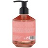Crabtree & Evelyn Rosewater and Pink Peppercorn Hydrating Hand Wash,