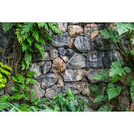 BNS Aquarium Terrarium Backgrounds (Rock Wall with Plants, 36”L x 12”H)
