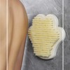 Cepillo Exfoliante de Espalda con Ventosa para Ducha XTYPE