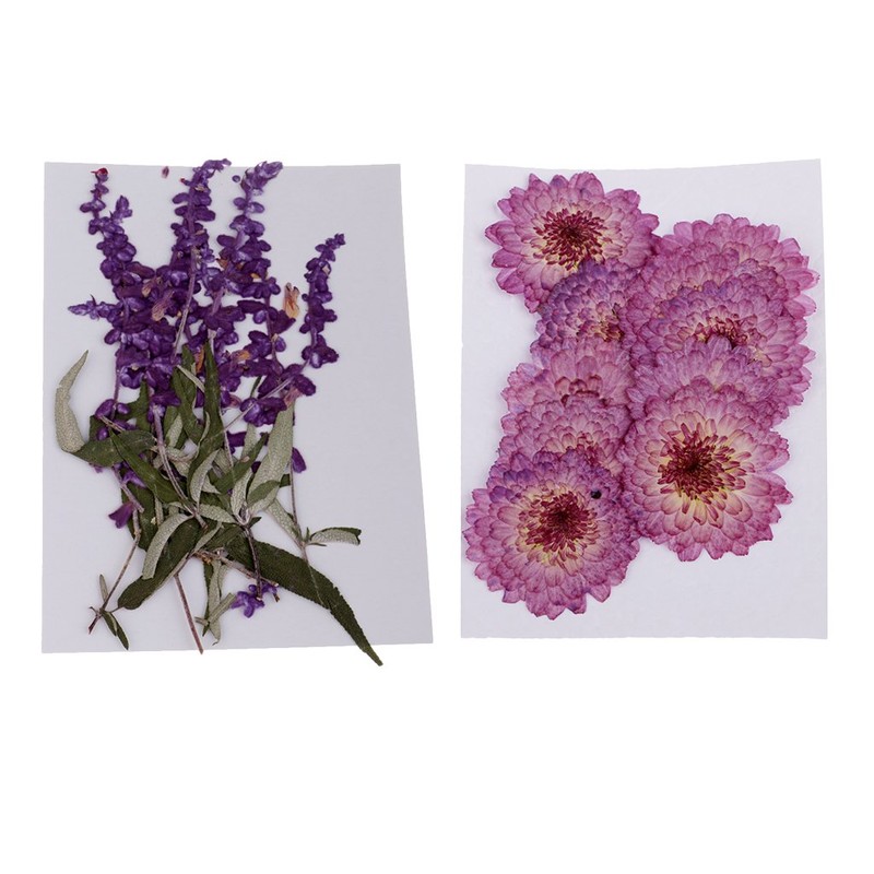 Sue Devitt Silky Sheen E/S - Madrid