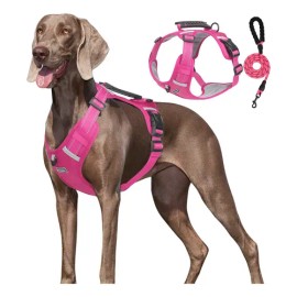 Pechera Arnés De Seguridad Para Perro Chico Mediano Y Grande