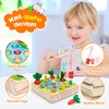 Wisplye Montessori Wooden Toy from 1 Years, Sorting Game, Motor