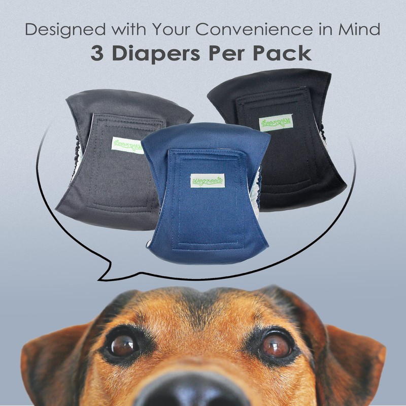 Wegreeco Washable Male Dog Belly Band (Stylish Pattern) - Pack