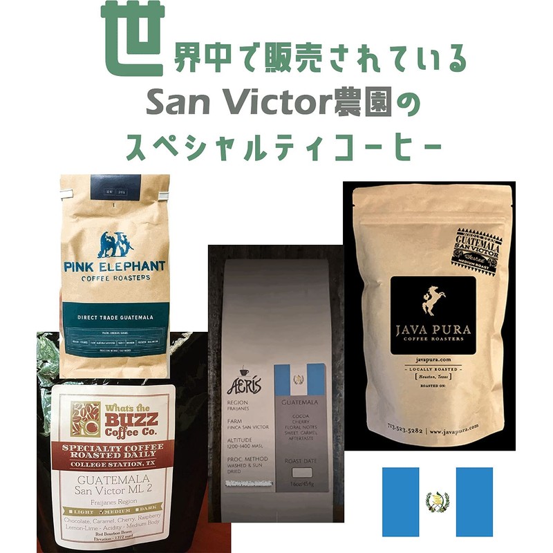 NoBlendCoffee [Q Grader Management Studio] World Top 3% Specialty Coffee