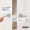 Okun Stark 1-Pack Chrome Privacy Door Levers – Push Button
