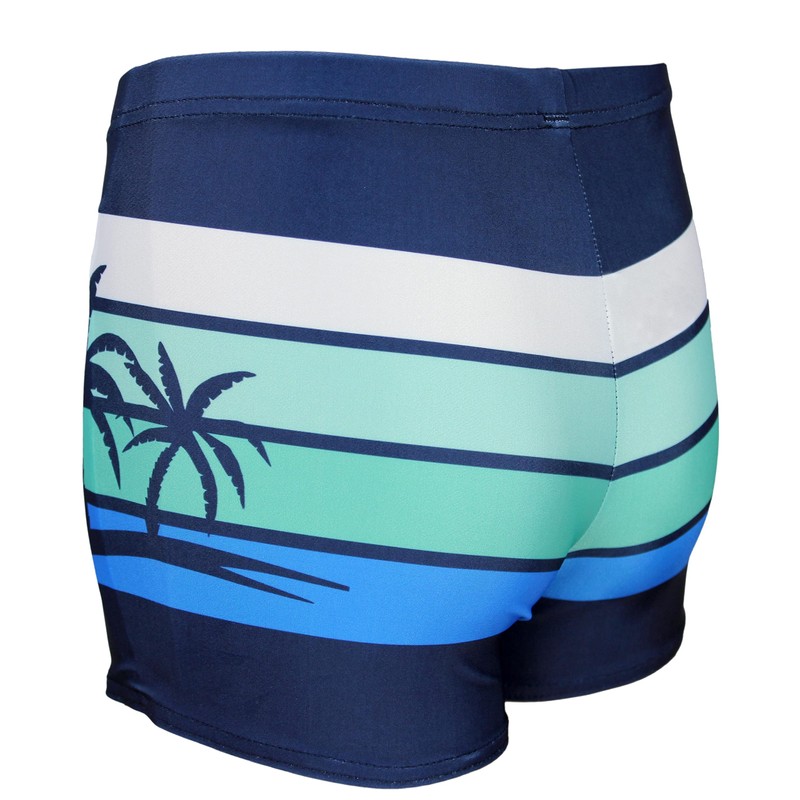 Aquarti Boys' Swimming Trunks Striped with Surfer Motif - 152