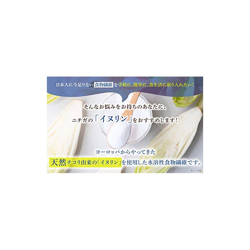 NICHIGA(ニチガ) イヌリン (オランダ産 ） 500g イヌリア 天然チコリ由来 水溶性食物繊維 微顆粒品 Non-GMO