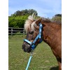 Rhinegold Unicorn Headcollar and Rope Set - Shetland - Turq