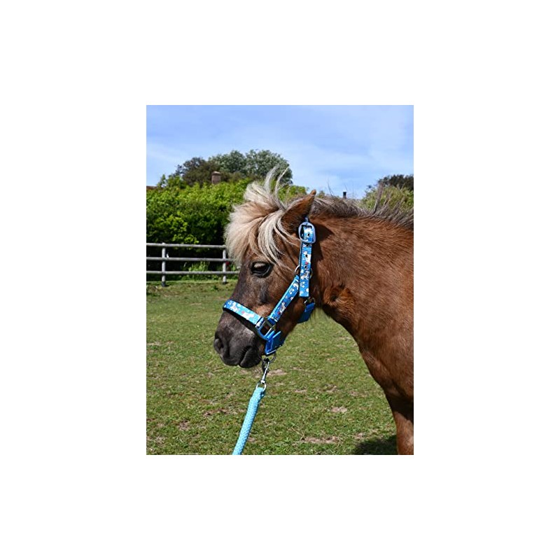 Rhinegold Unicorn Headcollar and Rope Set - Shetland - Turq