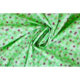 Pyrhan Lady Bug on Leave Polycotton Prints | 45 Inch Wide Dress Craft Fabric Material by The Metre | Polycotton Print Used in Sewing Kit and Accessories-Quilting Fabric (Green)