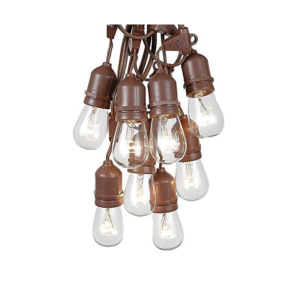 37.5 Foot S14 Edison Outdoor String Lights – Suspended - Commercial Grade - Backyard Garden Gazebo – Cafe Market String Lights – Vintage Patio String Lights – Brown Wire - 25 Clear S14 Bulbs