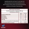 Ksm 240 Cápsulas Antiestrés Natural Reduce Cortisol Suplemento Saisa Herbal