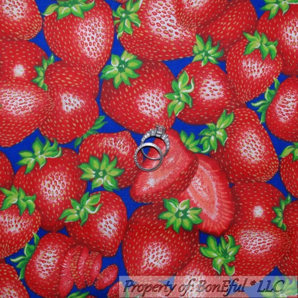 Signature BonEful Fabric FQ Cotton Quilt Blue Red BIG Large