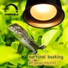 100W 2-Pack Reptile Basking Heat Bulb - UVA Daylight Heat