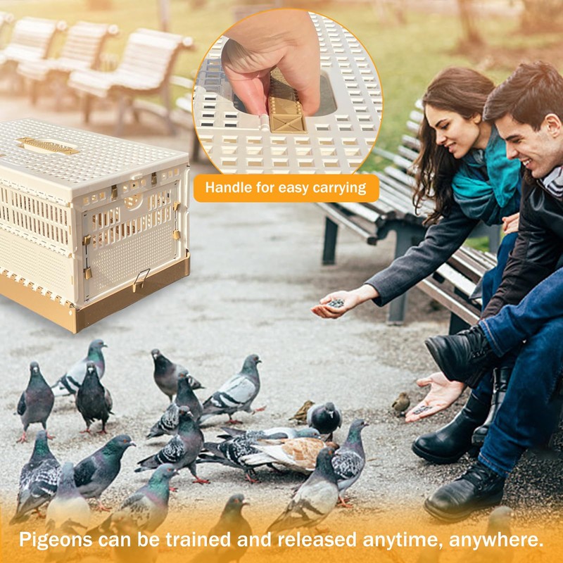Folding Pigeon Cage Racing Pigeons Travel Cage Pairing Cage Plastic