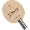 The World Connect (TWC) BV004CH Table Tennis Racket Defense Pen