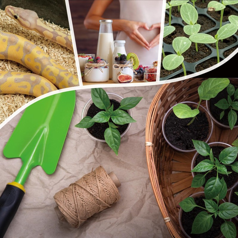 Pymeter PID Heat Mat Thermostat for Reptiles Heating Pad, Terrarium