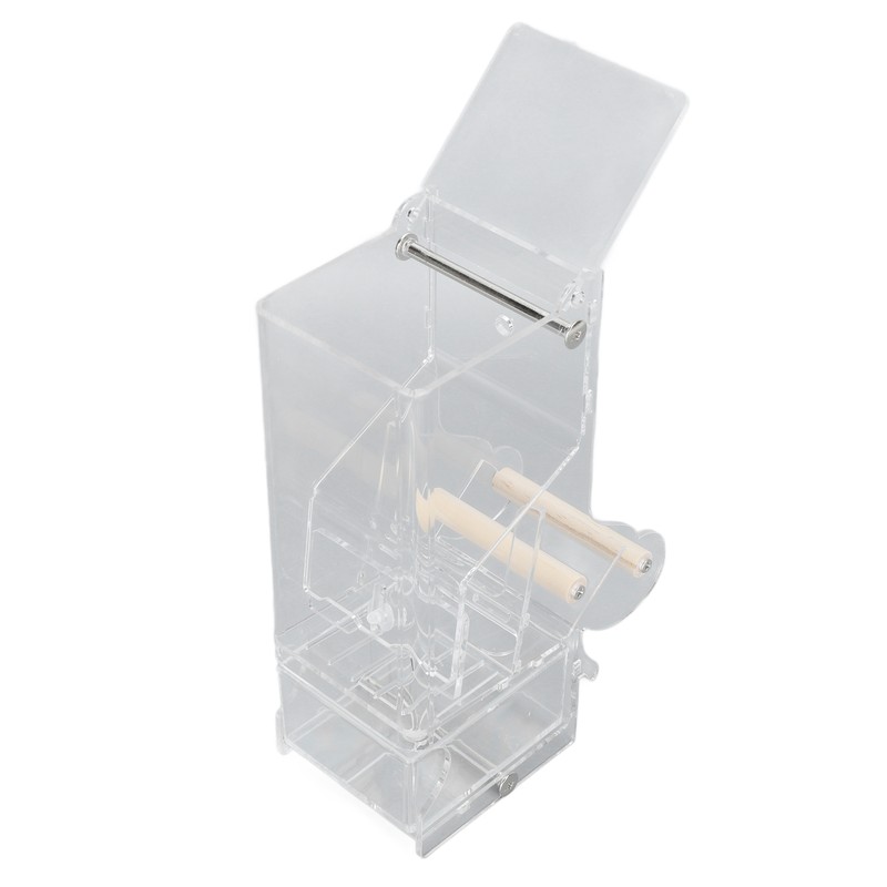 Automatic Parrot Feeder Prevent Spillage and Splashing Easy Installation Acrylic