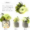 Oimoya Presents for the Aged Day, Preserved Flowers, Owl, Rose,