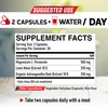 Magnesium L-Threonate Supplement with Lions Mane & Ashwagandha Root -