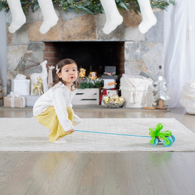 Melissa & Doug First Play Frolicking Frog Wooden Pull Toy