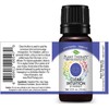 Plant Therapy Chakra 6 Clear Intuition Essential Oil Blend (Brow
