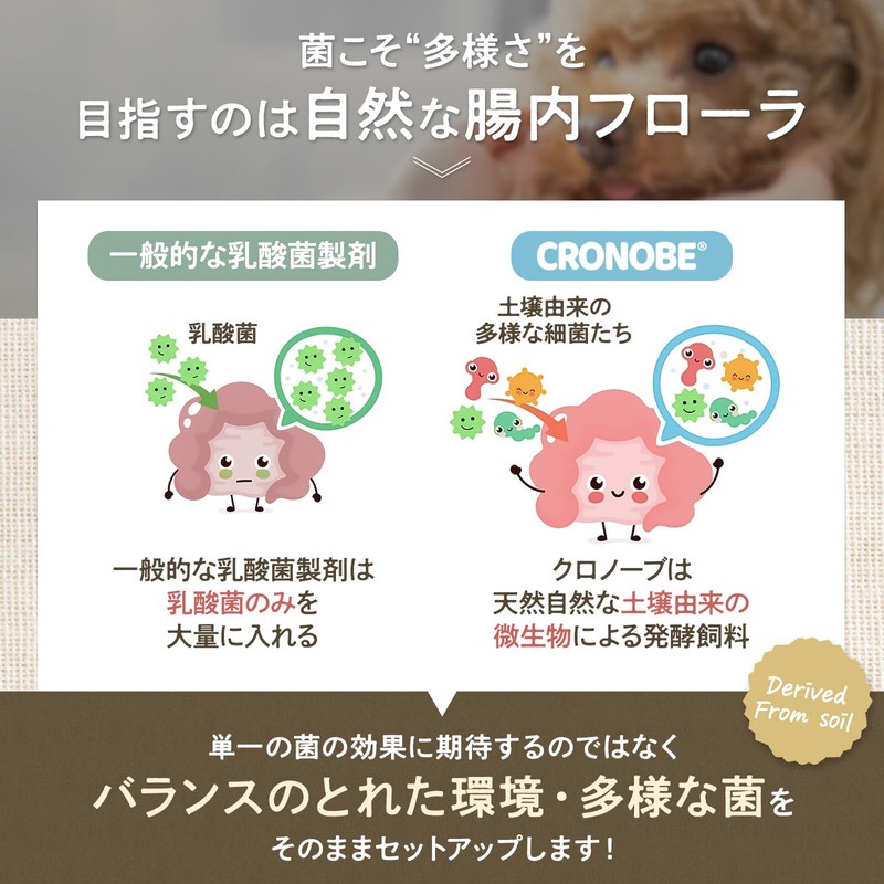 【米ぬか腸活パウダー】【獣医師利用】 クロノーブペッツ 犬 猫 乳酸菌 サプリメント 食物繊維 プロバイオティクス 善玉菌 腸活