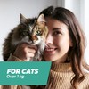 Naqua Ltd Cat Flea Treatment Spot On x 6 -