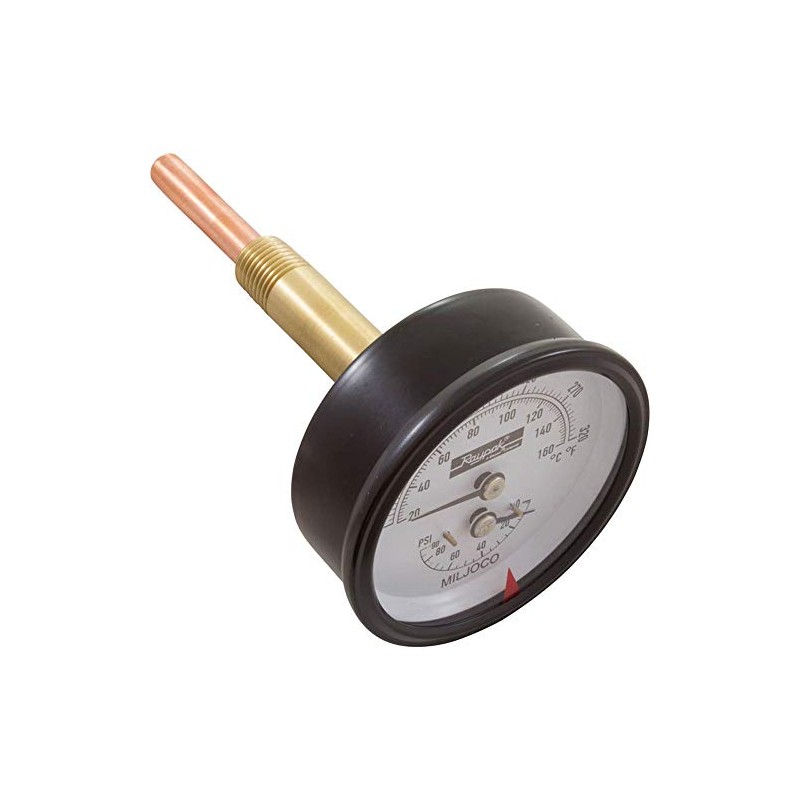 Raypak 007205F Temperature and Pressure Gauge