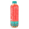 ROAR Complete Hydration Organic Variety Pack - Electrolyte Drinks Loaded