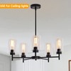 6 Pack Clear Glass Shades Replacement,5.51in Height,3.94in Diameter,1.65in Fitter,High Transmittance