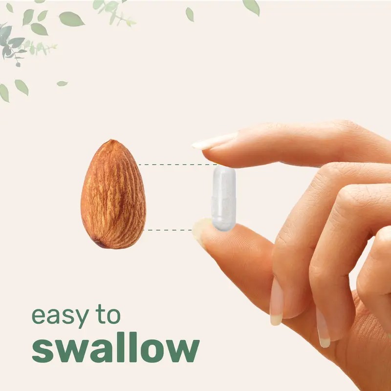 Magnesium Glycinate Supplement – 400mg Per Serving, 240 Capsules –