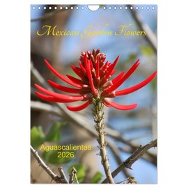 Mexican Garden Flowers - Aguascalientes (Wall Calendar 2026 DIN A4 portrait), CALVENDO 12 Month Wall Calendar: Aguascalientes is located in ... climate consisting of forest and grasslands.