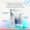 Primetech Nutrition Péptidos Colágeno Hidrolizado En Polvo Puro 1 Kg