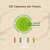 Omega 3 Raíces Zen Platinum 2000mg 120 Cápsulas Sin Sabor