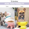 ViviPet Premium Elevated Dog Feeder, Single Raised Cat Bowl Ceramic