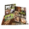 HERMA Collector's Folders A4 Animal Motifs Set, Pack of 10,