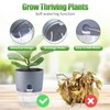 Oliz 6 Inch Self Watering Pots for Indoor Plants, 6