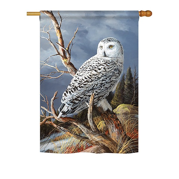 Breeze Decor H105051-BO Superior Vantage Owl Garden Friends Birds Decorative Vertical House Flag, 28"x 40", Multi-Color