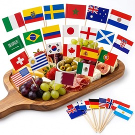 93 Pcs Mini Country Toothpick Flags, 31 Countries National Flag Food Picks, Bamboo Cupcake Toppers for International Themed Party, Sports Events, Cultural Celebrations Cocktail Picks